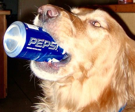 How do I get my fortune?