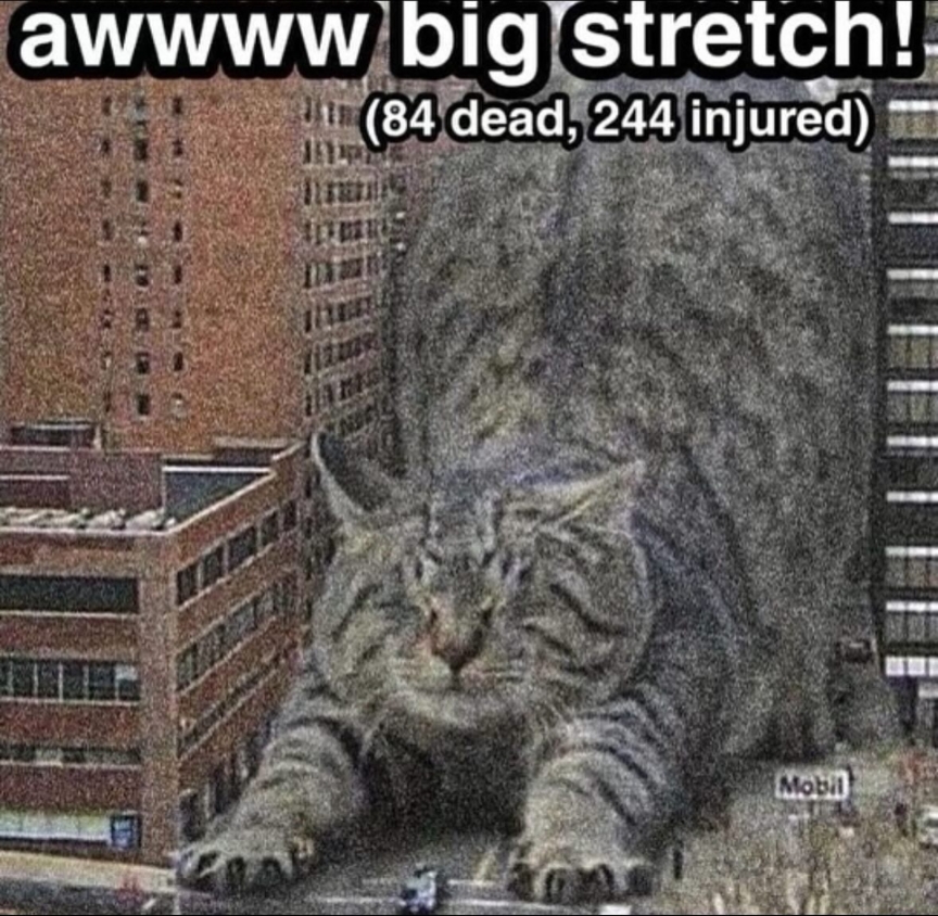 Go Stretch Yourself