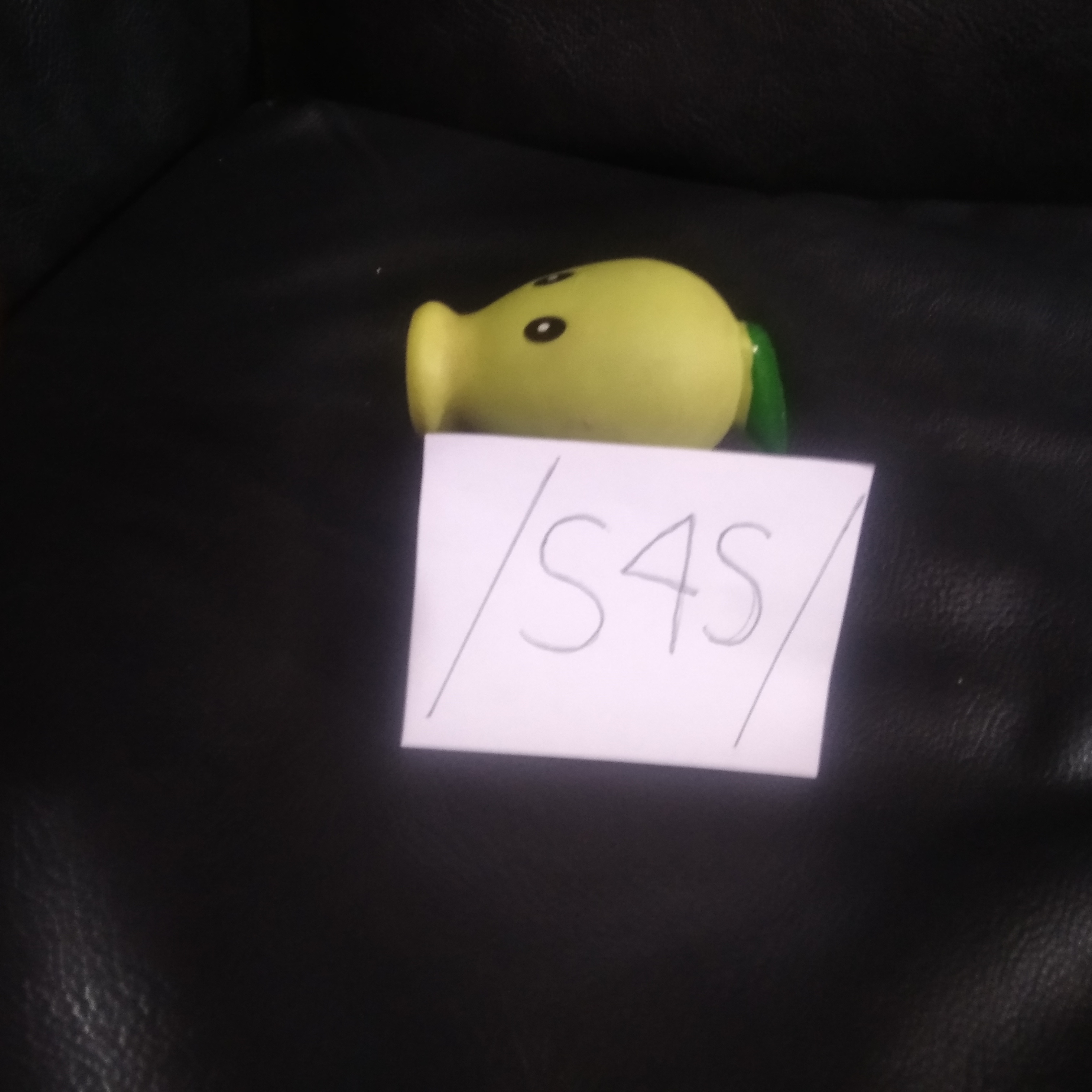 Pea Community Service