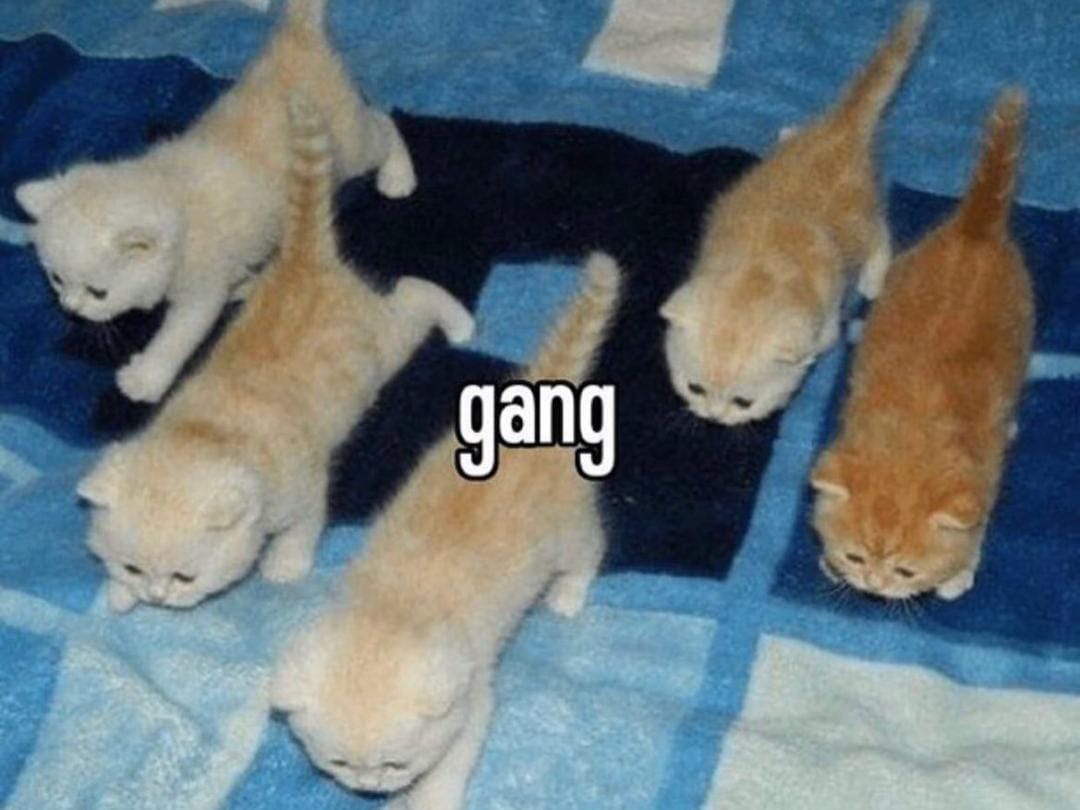 list everything you've ever eaten