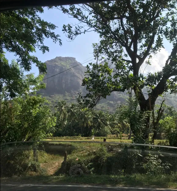 they made me go outsidee