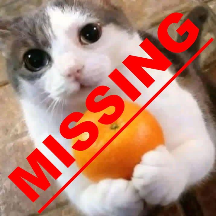 Lost Cat