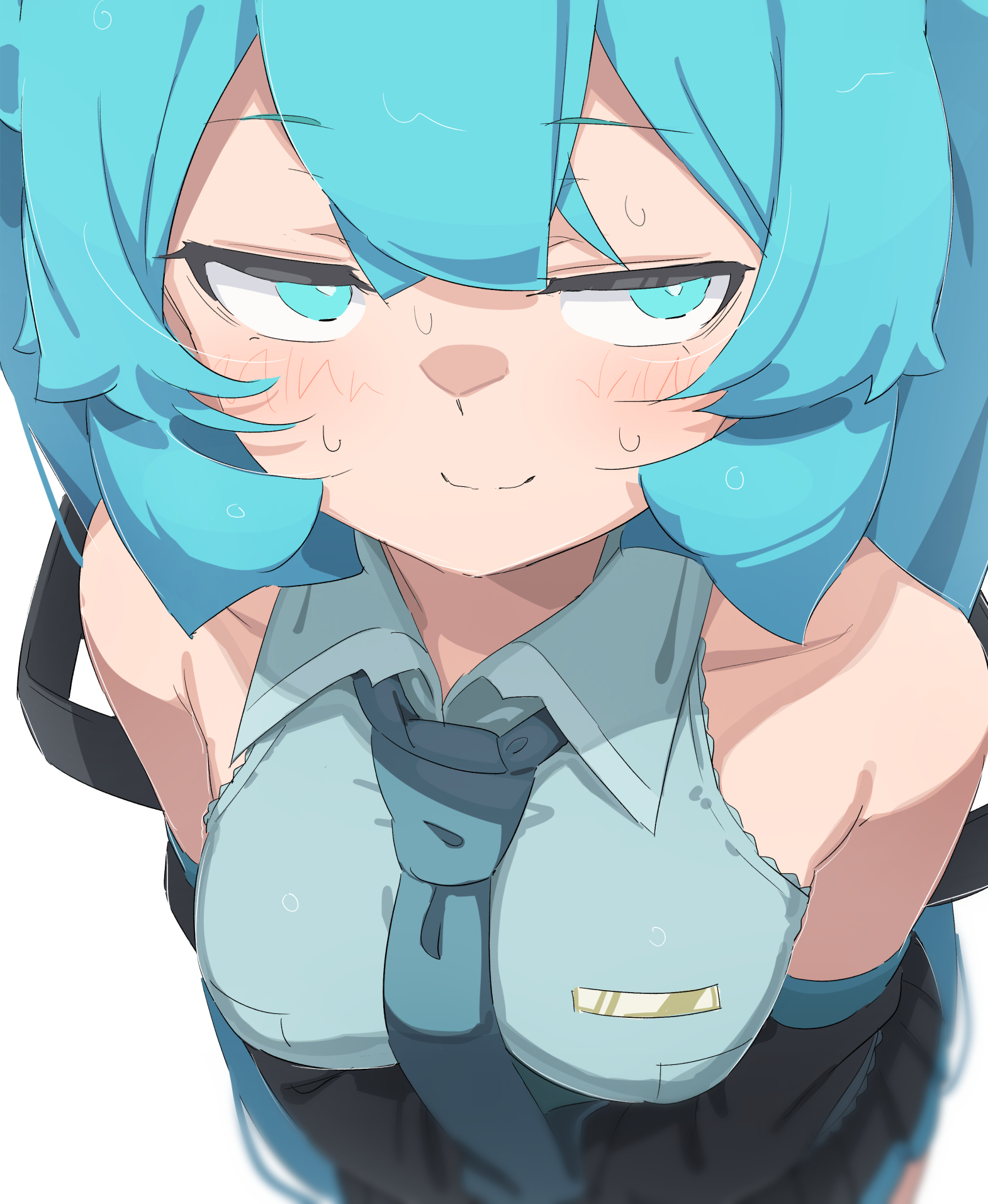 This is a Miku thread, you may post Mikus