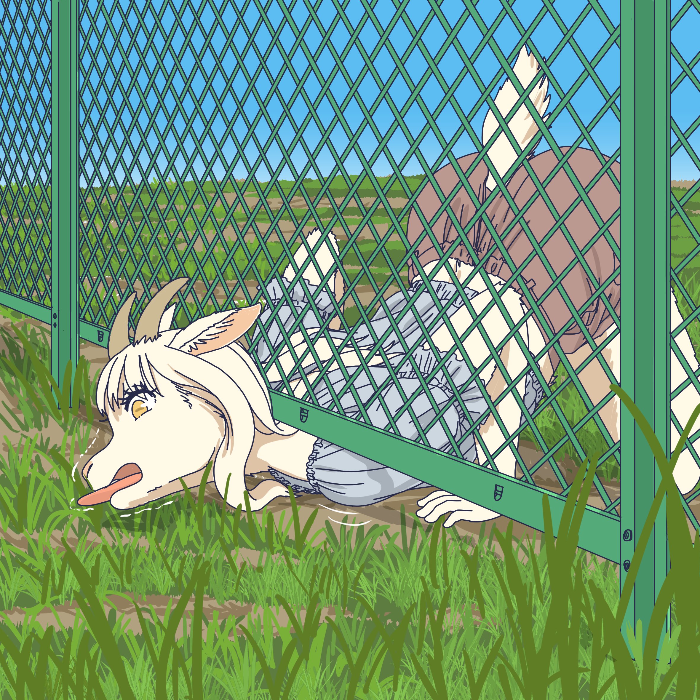 the grass is always tastier on the other side